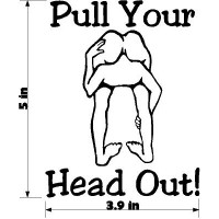 PULL YOUR HEAD OUT